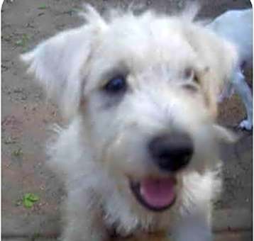 Photo of Stanley