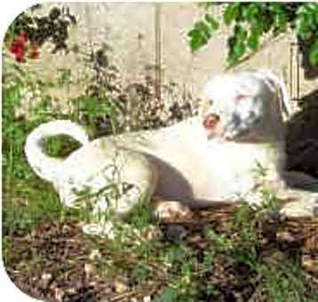 Photo of Kadan