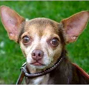 Photo of Von