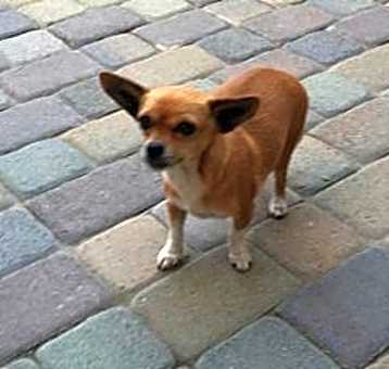 Photo of Sugar