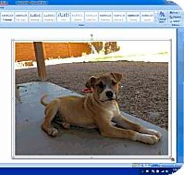 Photo of Milya