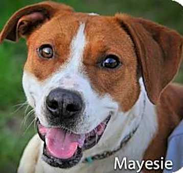 Photo of Mayesie