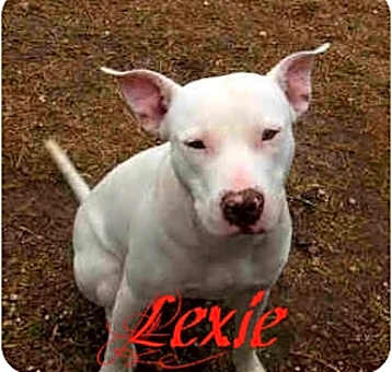 Photo of Lexie