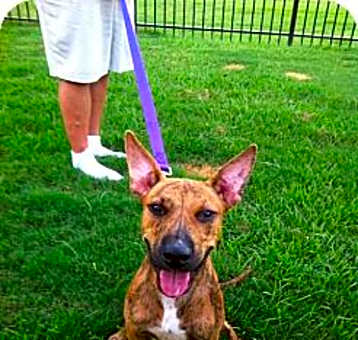 Photo of Buzz