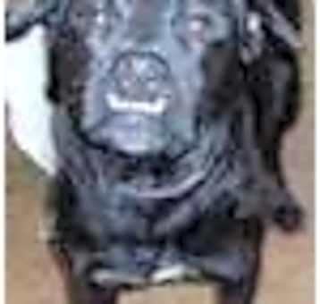 Photo of Trucker