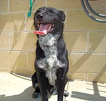 Photo of Cash