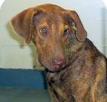 Photo of Jax