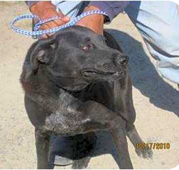 Photo of ernie
