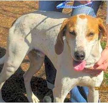 Photo of Tucker