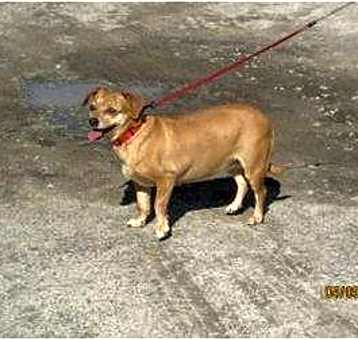 Photo of missy