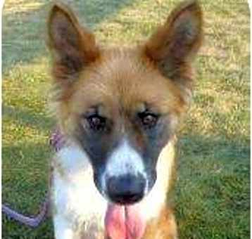 Photo of Nora