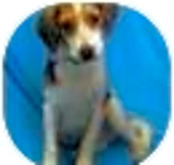 Photo of AJ