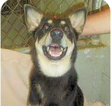 Photo of Dakota ADOPTN PNDG!