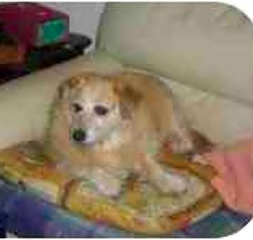 Photo of Tator Bud
