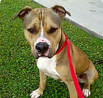 Photo of Titan