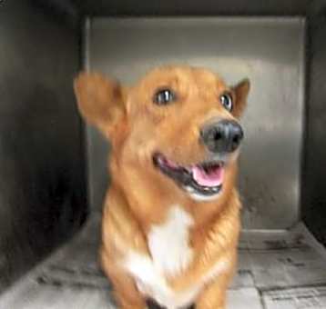 Photo of Cargo