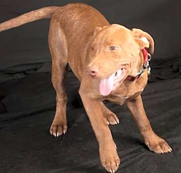 Photo of Zeus