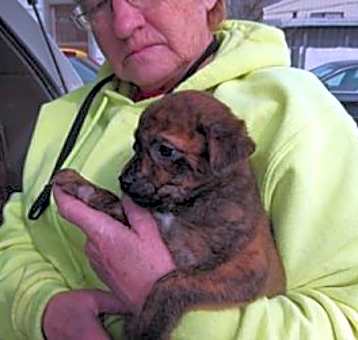 Photo of Chubbs