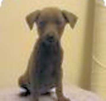 Photo of Kinzie