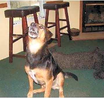 Photo of Max