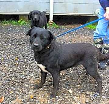 Photo of Betty