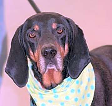 Photo of Jack-Free Lovin'!!!