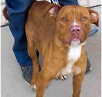 Photo of Sugar