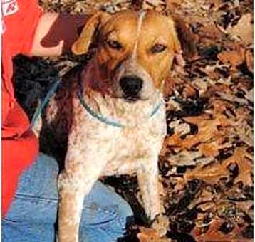 Photo of Macy