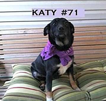 Photo of Katy