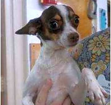 Photo of Jillsy
