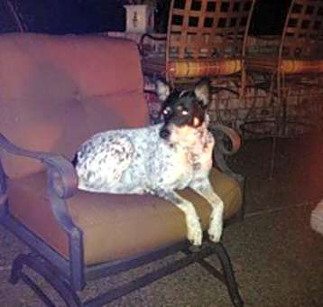 Photo of Gabby