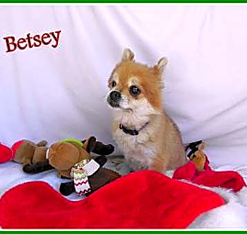 Photo of Betsey