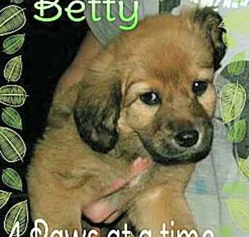 Photo of Betty