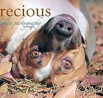 Photo of Precious