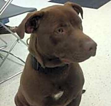 Photo of CoCo