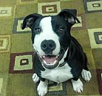 Photo of Rocky