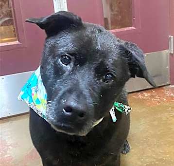 Photo of Delilah