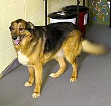 Photo of Rocky