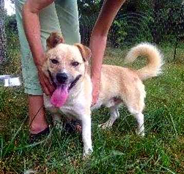 Photo of Fritz
