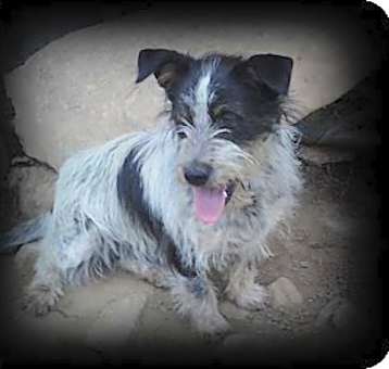 Photo of Ruffy