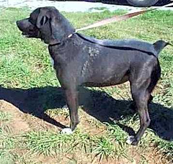 Photo of Bobbie