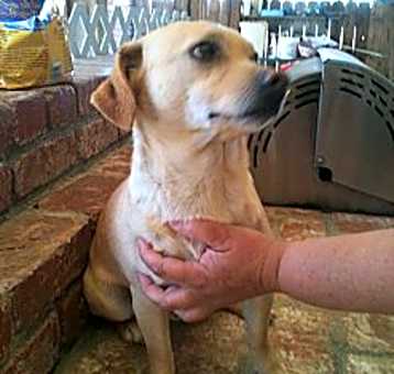 Photo of Buster