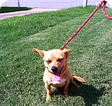 Photo of Lilly
