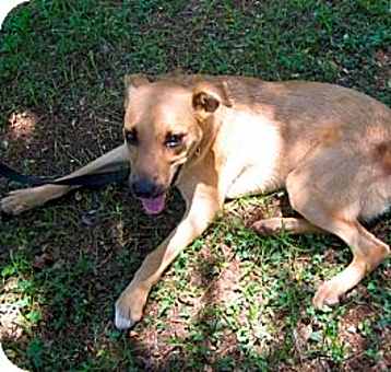 Photo of MacTavish