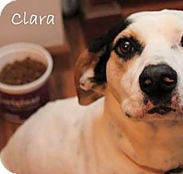 Photo of Clara