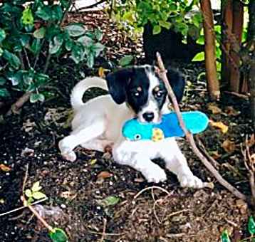 Photo of Jack