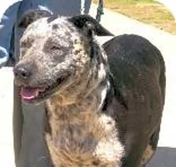Photo of Tank