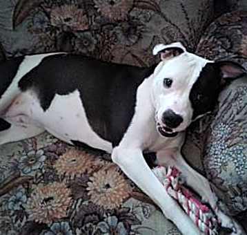 Photo of Lucy