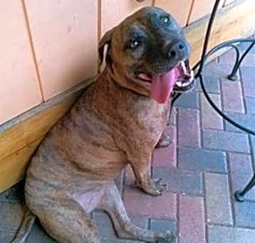 Photo of Hope