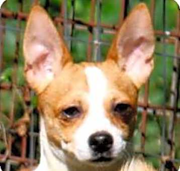 Photo of Harley